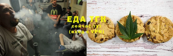гидра Елабуга
