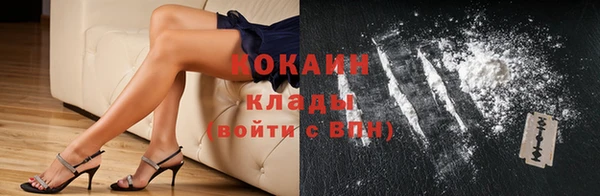 гидра Елабуга