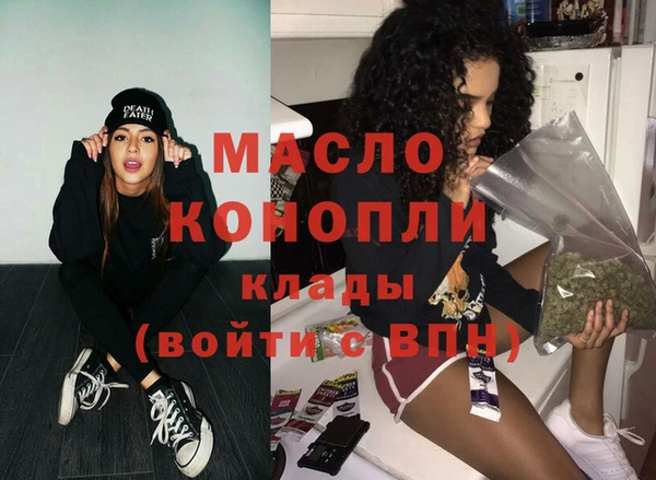 гидра Елабуга