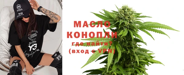 гидра Елабуга