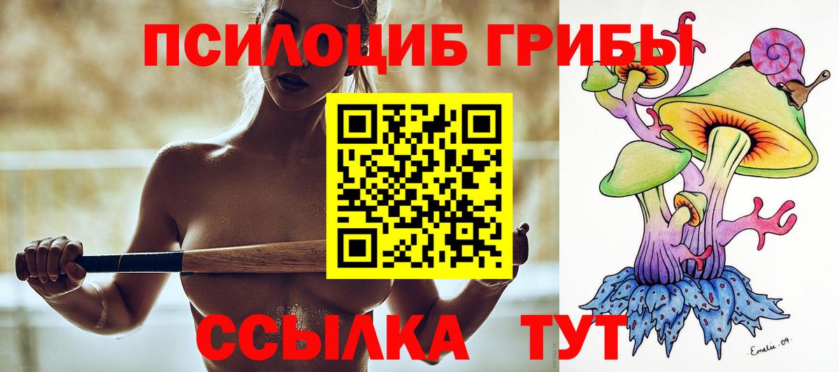Псилоцибиновые грибы GOLDEN TEACHER  Вход с VPN  Ивантеевка 