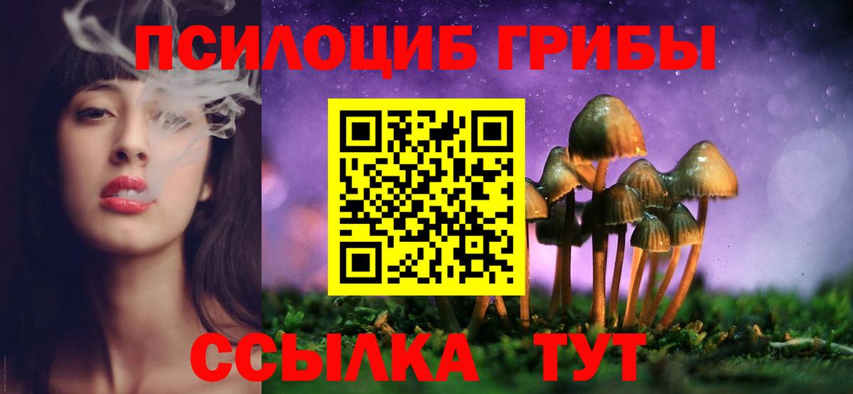 Галлюциногенные грибы Cubensis Ивантеевка